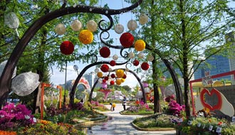 韓國(guó).嬌艷花卉的盛宴，2019高陽(yáng)國(guó)際花卉博覽會(huì)
