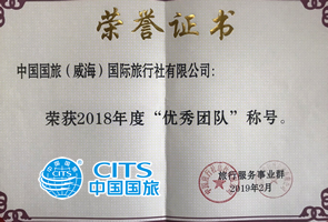 總社優(yōu)秀團隊獎.png