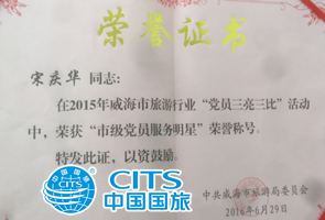 黨員服務(wù)明星.png